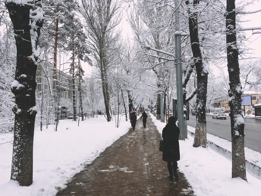 В канун Старого Нового года Алматы засыпало снегом