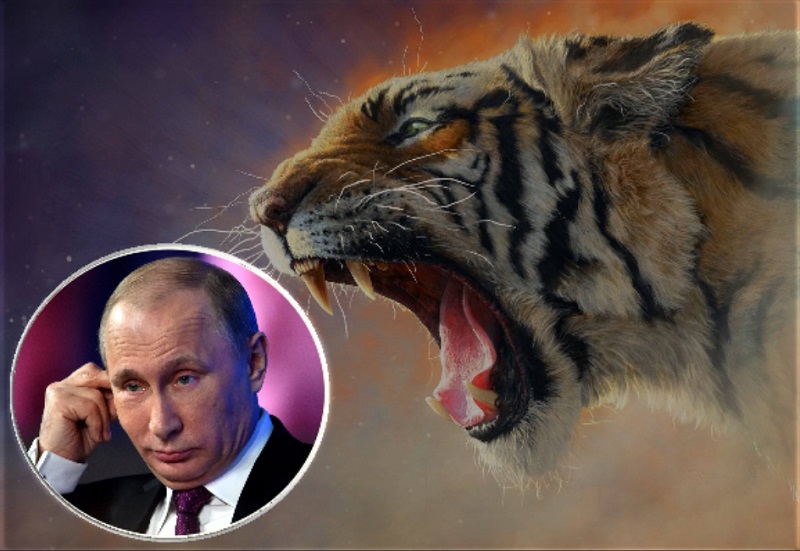 Putin tigr Cronos Asia