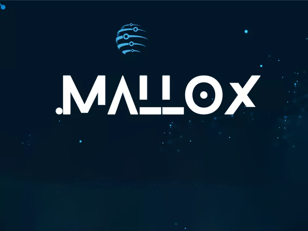 Mallox представляет серьезную угрозу для организаций Казахстана