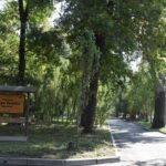 Баумановская роща. Реконструкция рощи Баума