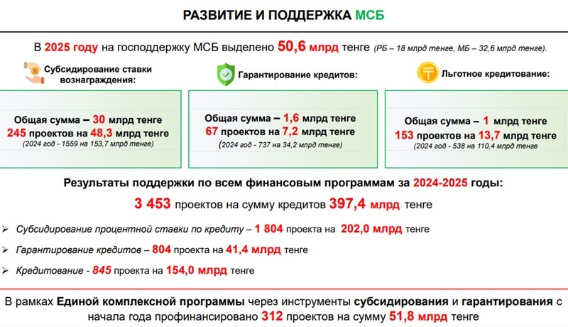 Малый и средний бизнес в Алматы приносит рекордные поступления в бюджет в 2025 году
