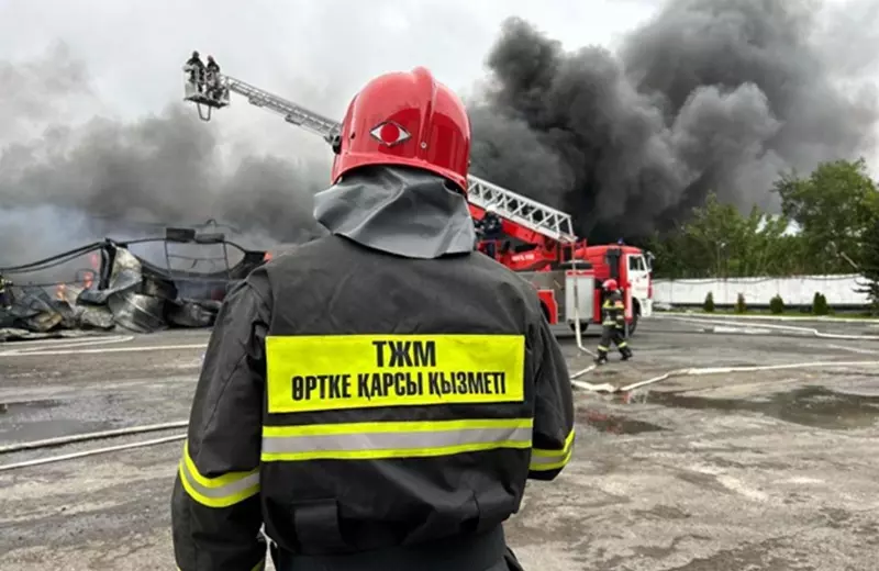 МЧС Казахстана: статистика спасательных операций и достижения за пять лет спасая жизни - МЧС Казахстана