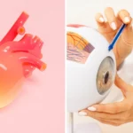 глаза помогают выявлять сердечно-сосудистые заболевания