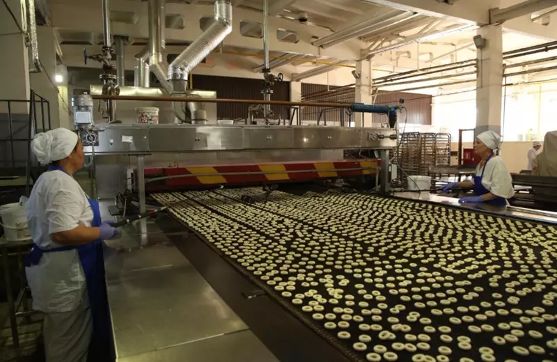 Развитие бизнеса в Алматы: господдержка МСБ, гранты, кредиты