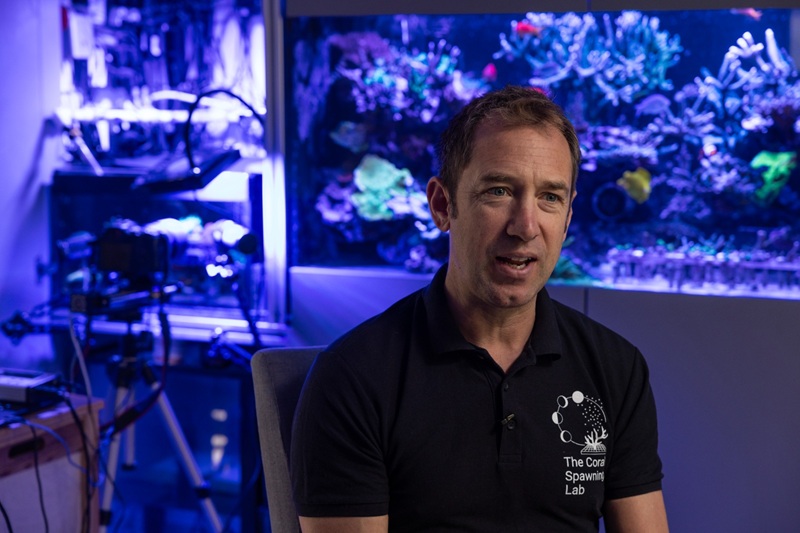 В Казахстане сократилось количество видов животных, занесённых в Красную книгу