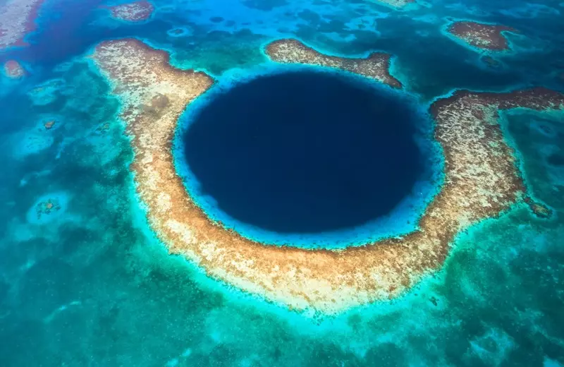 В Казахстане сократилось количество видов животных, занесённых в Красную книгу Красная книга Казахстана и редкие виды животных