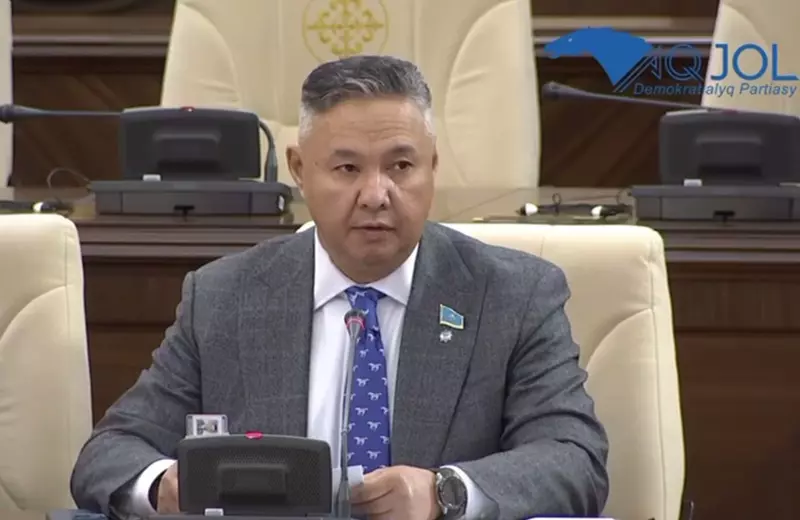 Азат Перуашев: депутат мажилиса раскритиковал работу правительства РК